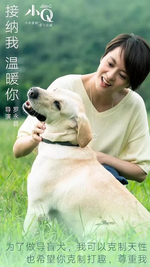 英语6级证书办理淘宝